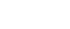 ʮһ湝(ji)n2024n(dng)ΑչռSnڣ